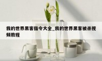 我的世界黑客指令大全_我的世界黑客被杀视频教程