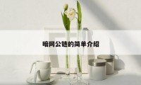 暗网公链的简单介绍