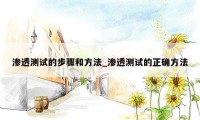 渗透测试的步骤和方法_渗透测试的正确方法