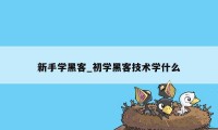 新手学黑客_初学黑客技术学什么