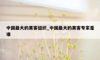 中国最大的黑客组织_中国最大的黑客专家是谁