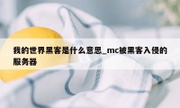 我的世界黑客是什么意思_mc被黑客入侵的服务器