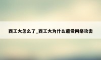 西工大怎么了_西工大为什么遭受网络攻击
