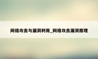 网络攻击与漏洞利用_网络攻击漏洞原理