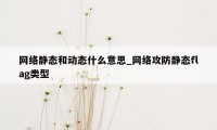 网络静态和动态什么意思_网络攻防静态flag类型