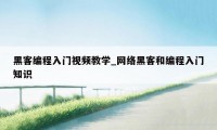 黑客编程入门视频教学_网络黑客和编程入门知识