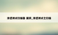 渗透测试扫描器 漏洞_渗透测试之扫描