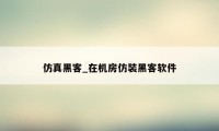 仿真黑客_在机房仿装黑客软件