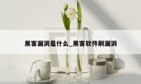 黑客漏洞是什么_黑客软件刷漏洞