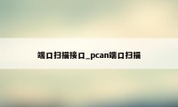 端口扫描接口_pcan端口扫描