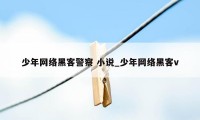 少年网络黑客警察 小说_少年网络黑客v