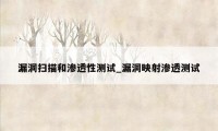 漏洞扫描和渗透性测试_漏洞映射渗透测试