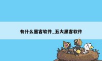 有什么黑客软件_五大黑客软件