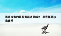 黑客攻击的是服务器还是域名_黑客都是ip攻击吗