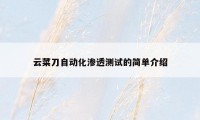 云菜刀自动化渗透测试的简单介绍