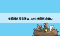渗透测试常见端口_web渗透测试端口