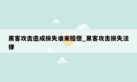 黑客攻击造成损失谁来赔偿_黑客攻击损失法律