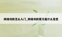 网络攻防怎么入门_网络攻防菜刀是什么意思