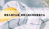 黑客入侵什么罪_黑客入侵公司后果是什么