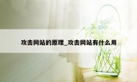 攻击网站的原理_攻击网站有什么用