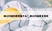端口扫描的原理是什么?_端口扫描英文简称