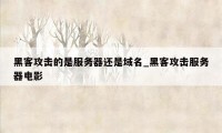 黑客攻击的是服务器还是域名_黑客攻击服务器电影