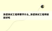渗透测试工程师要学什么_渗透测试工程师前景好吗