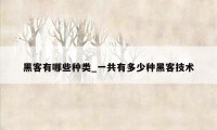 黑客有哪些种类_一共有多少种黑客技术