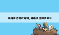 网络渗透测试内容_网络渗透测试实习