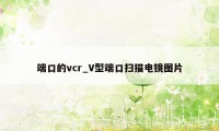 端口的vcr_V型端口扫描电镜图片