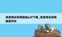 渗透测试实践指南pdf下载_渗透测试实践指南评价