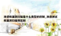 渗透和漏洞扫描是什么类型的控制_渗透测试和漏洞扫描得区别
