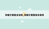 灰帽子黑客合法吗_灰帽子黑客技术高吗