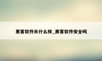 黑客软件长什么样_黑客软件安全吗