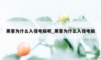 黑客为什么入侵电脑呢_黑客为什么入侵电脑