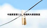 中国黑客第二人_中国两大黑客联盟
