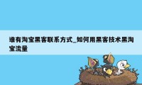 谁有淘宝黑客联系方式_如何用黑客技术黑淘宝流量