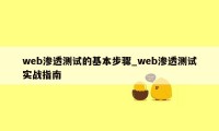 web渗透测试的基本步骤_web渗透测试实战指南