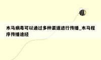 木马病毒可以通过多种渠道进行传播_木马程序传播途经