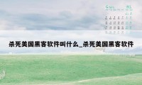 杀死美国黑客软件叫什么_杀死美国黑客软件