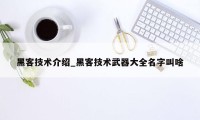 黑客技术介绍_黑客技术武器大全名字叫啥