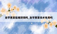 自学黑客能赚到钱吗_自学黑客技术有用吗