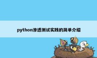 python渗透测试实践的简单介绍