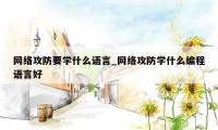 网络攻防要学什么语言_网络攻防学什么编程语言好