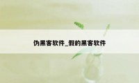 伪黑客软件_假的黑客软件