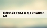 特洛伊木马程序怎么处理_特洛伊木马程序怎么做