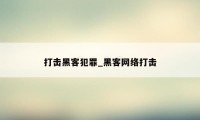 打击黑客犯罪_黑客网络打击