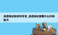 渗透测试和软件开发_渗透测试需要什么代码能力