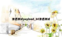 渗透测试payload_bt渗透测试