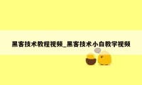 黑客技术教程视频_黑客技术小白教学视频